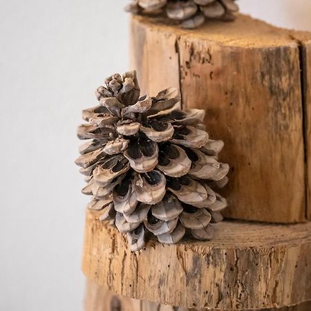 Corte Garibaldi Feltre Ngoại thất bức ảnh